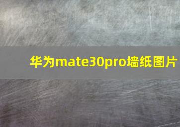 华为mate30pro墙纸图片