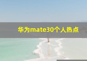 华为mate30个人热点