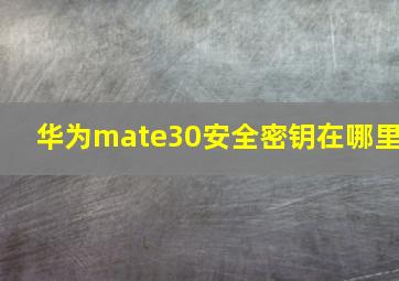 华为mate30安全密钥在哪里