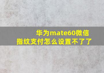 华为mate60微信指纹支付怎么设置不了了