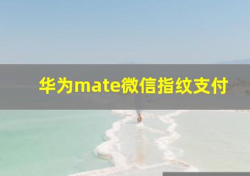 华为mate微信指纹支付