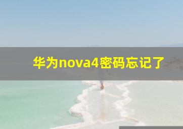 华为nova4密码忘记了