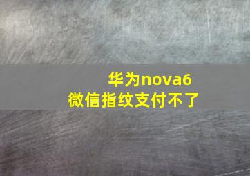 华为nova6微信指纹支付不了