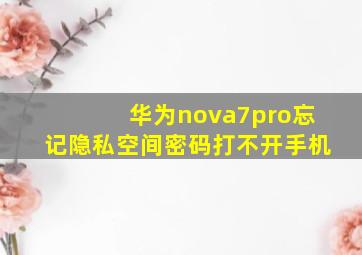 华为nova7pro忘记隐私空间密码打不开手机