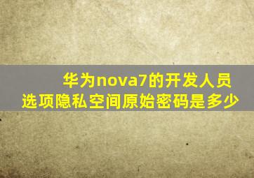 华为nova7的开发人员选项隐私空间原始密码是多少