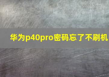 华为p40pro密码忘了不刷机