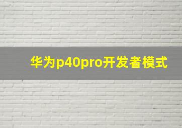 华为p40pro开发者模式