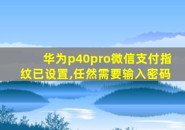 华为p40pro微信支付指纹已设置,任然需要输入密码