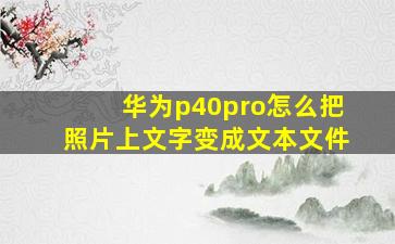 华为p40pro怎么把照片上文字变成文本文件