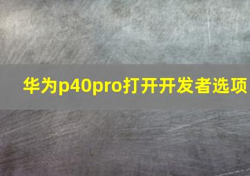 华为p40pro打开开发者选项