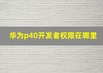 华为p40开发者权限在哪里