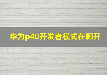 华为p40开发者模式在哪开