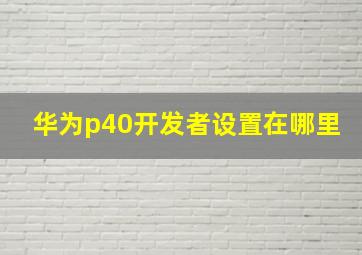 华为p40开发者设置在哪里