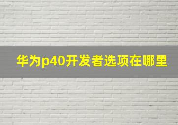 华为p40开发者选项在哪里