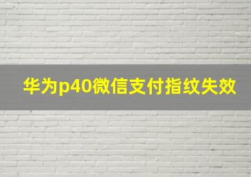 华为p40微信支付指纹失效