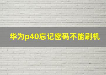 华为p40忘记密码不能刷机