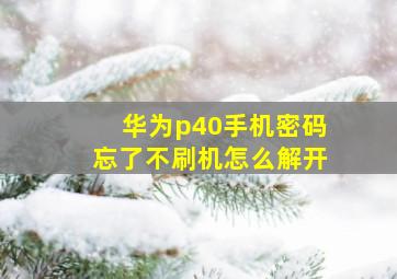 华为p40手机密码忘了不刷机怎么解开