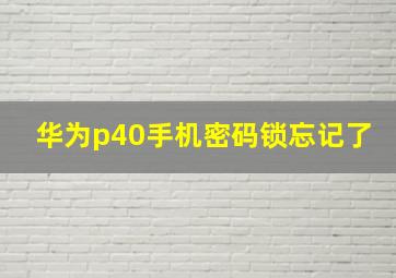 华为p40手机密码锁忘记了