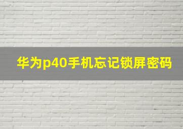 华为p40手机忘记锁屏密码