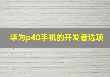 华为p40手机的开发者选项