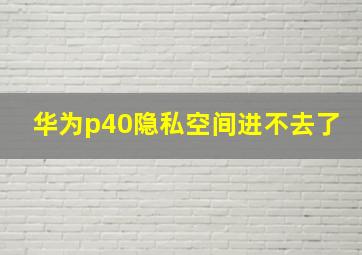 华为p40隐私空间进不去了