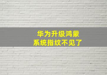 华为升级鸿蒙系统指纹不见了