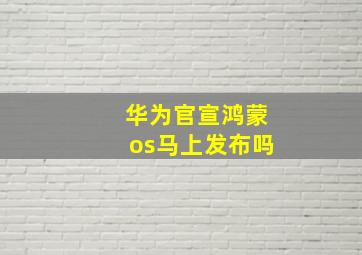 华为官宣鸿蒙os马上发布吗