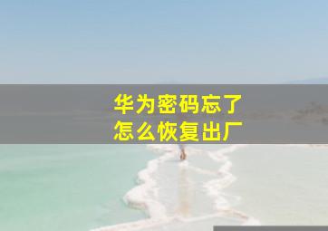 华为密码忘了怎么恢复出厂