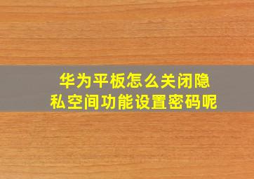 华为平板怎么关闭隐私空间功能设置密码呢