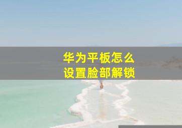 华为平板怎么设置脸部解锁