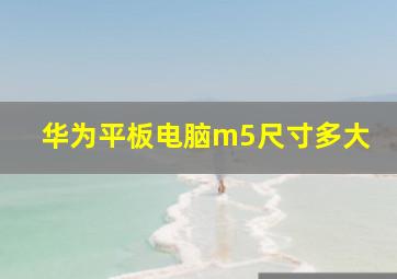 华为平板电脑m5尺寸多大