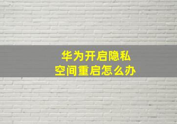 华为开启隐私空间重启怎么办