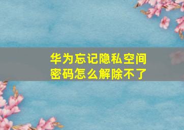 华为忘记隐私空间密码怎么解除不了