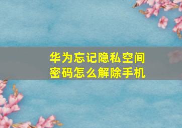 华为忘记隐私空间密码怎么解除手机