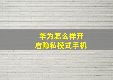 华为怎么样开启隐私模式手机