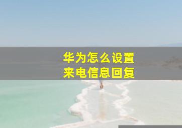 华为怎么设置来电信息回复