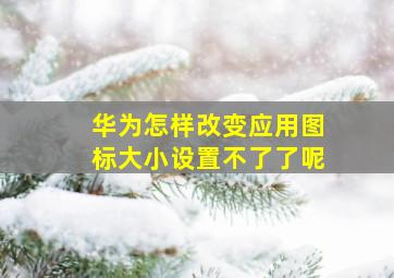 华为怎样改变应用图标大小设置不了了呢