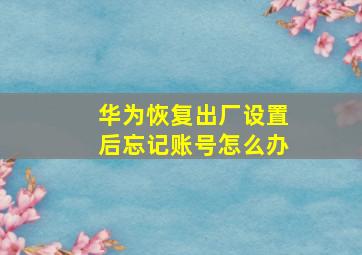 华为恢复出厂设置后忘记账号怎么办