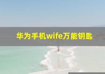 华为手机wife万能钥匙