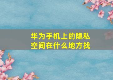 华为手机上的隐私空间在什么地方找