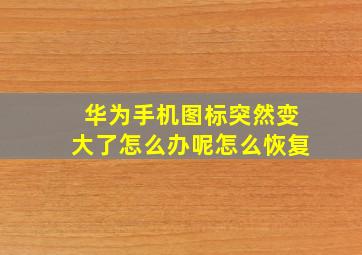 华为手机图标突然变大了怎么办呢怎么恢复