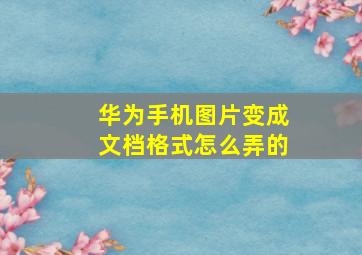 华为手机图片变成文档格式怎么弄的