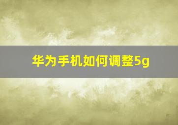 华为手机如何调整5g