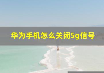 华为手机怎么关闭5g信号