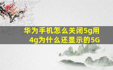 华为手机怎么关闭5g用4g为什么还显示的5G