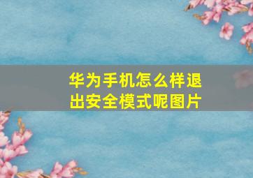 华为手机怎么样退出安全模式呢图片