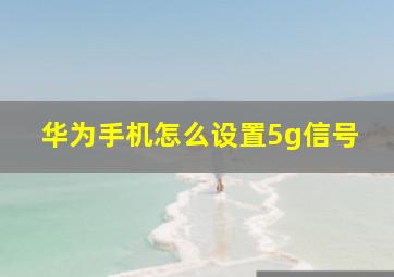 华为手机怎么设置5g信号