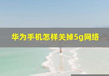 华为手机怎样关掉5g网络