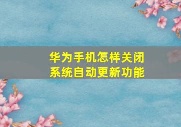 华为手机怎样关闭系统自动更新功能