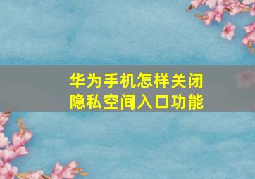 华为手机怎样关闭隐私空间入口功能